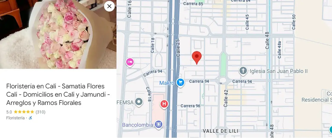 Mapa Ubicación Floristeria en Cali Samatia - Cra 92 28 - 41